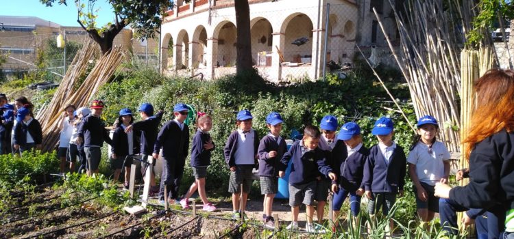 Alumnos de La Salle Alcoi visitan los huertos sociales Alumnos de La Salle Alcoi visitan los huertos sociales